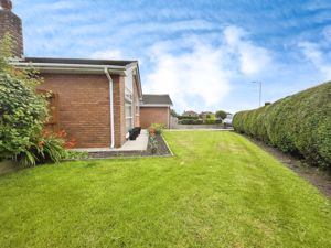 Front Garden- click for photo gallery
